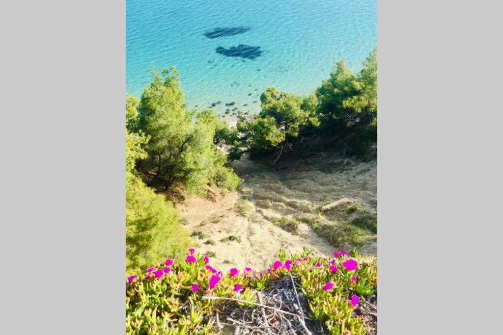 Family Apartment In Greece Kalandra 外观 照片